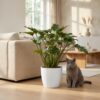 Philodendron - Philodendron Xanadu - Grün - Pflegeleicht - mit Potter White