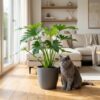Philodendron - Philodendron Lacerum - Grün - Pflegeleicht - mit Potter Grey