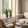 eece96e7aa00490e837c38d2cdc4979b22b3f0d7658e4db788989d1f96b8701d.jpg Sansevieria Future Superb – Frauenzunge – 4 Pflanzen – mit grauem Topf