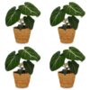 239c207c415949029f8755934aaa77d133649c11f44b43b9a93e61ed571eb9ee.jpg Philodendron Gloriosum – Glorie-Philodendron – 4 Pflanzen – mit Korb