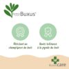 Buxus Pyramide – BetterBuxus Skylight – Resistent gegen den Buxus-Pilz