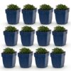 c520ffefdb51408ea1b903d65b0c24d2b9e2610a3c0842a6a1f894f39ff8a309.jpg Campanula portenschlagiana – Pfirsichblättrige Glockenblume – Bodendecker – Rosa – 12 Pflanzen