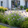 b9ee20deef704b6c9b78dffb1fc75de086ffe386669744708f72c0e3c30362b5.jpg Scabiosa, Sorte „Butterfly Blue“ – Taubenkraut – Bienen- und Schmetterlingsmagnet – Violett – 6 Pflanzen