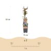 1dab03f8b148437b99f009cda721bcc5b790434054154d0fb8db671292c58fa3.jpg Vaccinium corymbosum Jersey - Heidelbeere - Winterhart - Heidelbeere - 2 Pflanzen