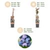 b5486a971d2a481fb7e5e2f799cf39eca582edc5c69d40cba0b38c2f61e2ad44.jpg Vaccinium corymbosum Jersey - Heidelbeere - Winterhart - Heidelbeere - 2 Pflanzen