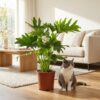 Philodendron - Philodendron Lickety split - Grün - Pflegeleicht
