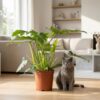 a70eec63d2654d6ba5bc18e7fd5a35a6f152539b4718411b947a68f4468f6cf0.jpg Philodendron - Philodendron Lacerum - Grün - Pflegeleicht
