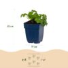 ce458793cbd14815b873e17486108482dd9f72321d1d4909a0ea169fce71d4bd.jpg Geranium cant. Cambridge – Storchschnabel – Bodendecker – Hellrosa