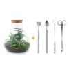 Flaschengarten - Sam XL - Rake + Shovel + Tweezer + Scissors