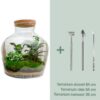 Flaschengarten - Fat Joe - ↕ 30 cm - Rake + Shovel + Tweezer