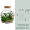 30db6a9378704f9f937906da0edfff3c09ad5af6273f49de96c4c8824ea589b3.jpg Flaschengarten - Fat Joe - ↕ 30 cm - Rake + Shovel + Tweezer + Scissors