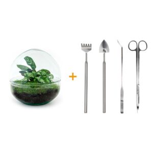 190ace9a4abf40bc824d921577f2dab5604f373592ff4f49be9a2a9530da7723.jpg Flaschengarten - Dome - ↕ 20 cm - Rake + Shovel + Tweezer + Scissors