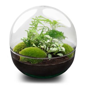 Flaschengarten - Dome XL