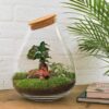 Flaschengarten - Drop XL Bonsai - Rake + Shovel