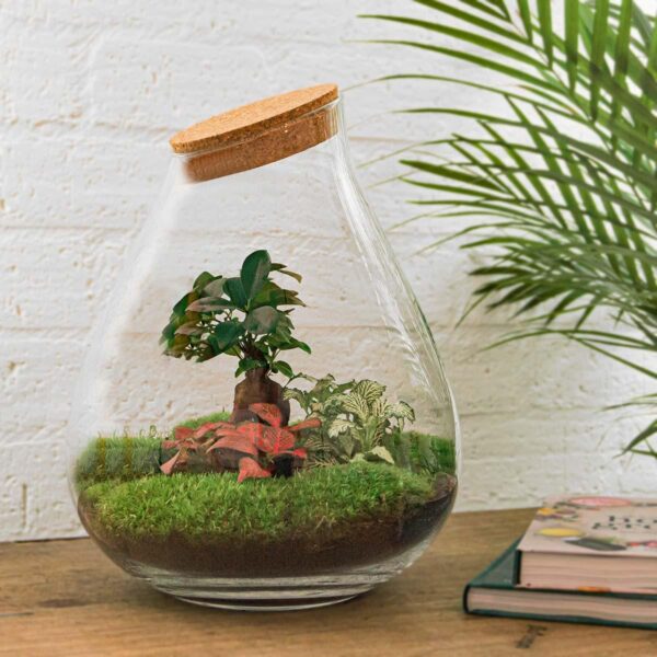 Flaschengarten - Drop XL Bonsai - Rake + Shovel