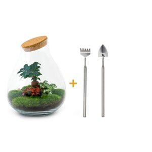 Flaschengarten - Drop XL Bonsai - Rake + Shovel