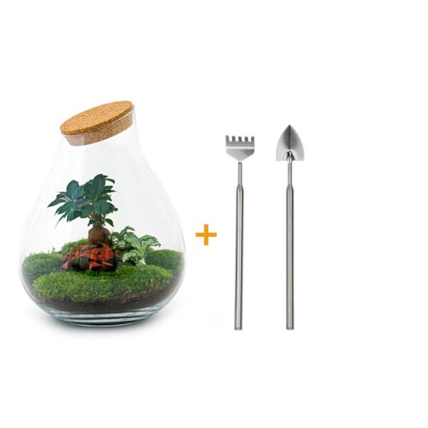 Flaschengarten - Drop XL Bonsai - Rake + Shovel
