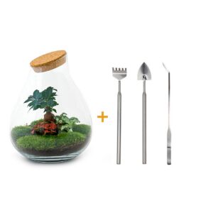 Flaschengarten - Drop XL Bonsai - Rake + Shovel + Tweezer