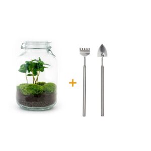 d8d491ab9c41422bbd250fb0bf8dc77c4016d1330d2a479d94fd670dcd0180dc.jpg Flaschengarten - Coffea Arabica - Rake + Shovel