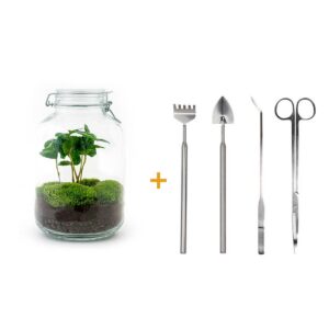 93726fafa16b4deda29e6cb8d4474b5e86f0e872368641c68c7981f126faf366.jpg Flaschengarten - Coffea Arabica - Rake + Shovel + Tweezer + Scissors