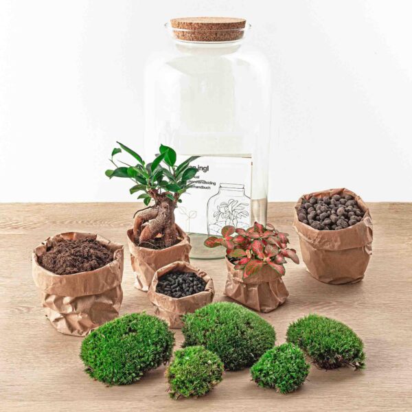 Flaschengarten - Sven Bonsai - Rake + Shovel + Tweezer