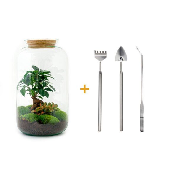Flaschengarten - Sven Bonsai - Rake + Shovel + Tweezer