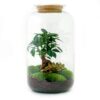 Flaschengarten - Sven Bonsai - Rake + Shovel + Tweezer