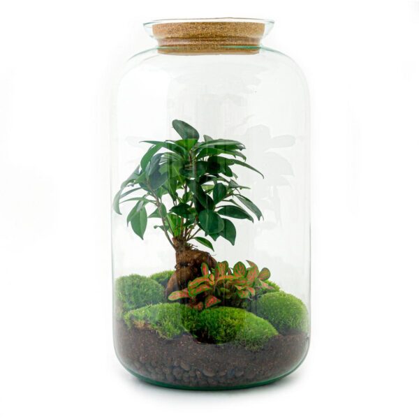 Flaschengarten - Sven Bonsai - Rake + Shovel + Tweezer