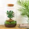 Flaschengarten - Sven Bonsai - Rake + Shovel + Tweezer