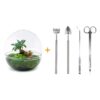 Flaschengarten - Dome XL - Ficus Ginseng Bonsai - Rake + Shovel + Tweezer + Scissors