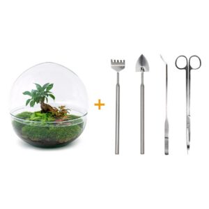 e8f9c6256e2f4ee7bedc2186c536028df16a6c4359b94192bd605a9905f215a7.jpg Flaschengarten - Dome XL - Ficus Ginseng Bonsai - Rake + Shovel + Tweezer + Scissors