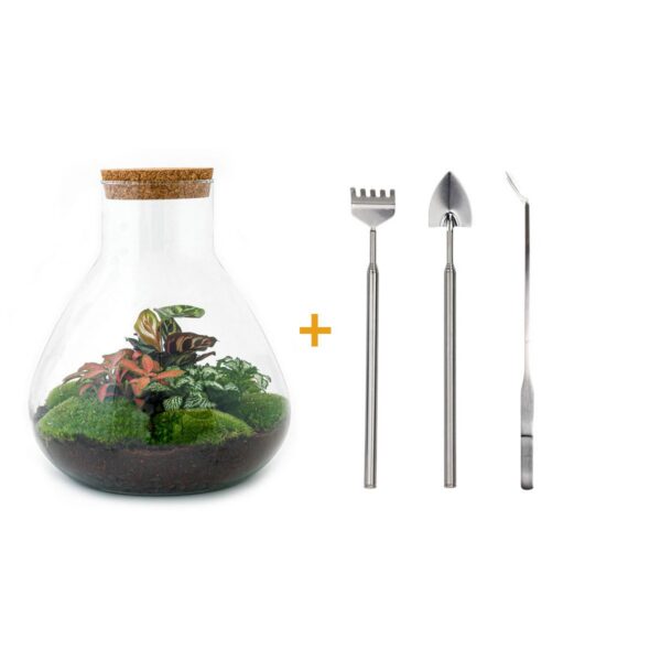 Flaschengarten - Sam XL Rot - Rake + Shovel + Tweezer