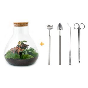 80a894bfff6f47c897ae1f967b0f24274b527641a9a44f71bec6a786e253a504.jpg Flaschengarten - Sam XL Rot - Rake + Shovel + Tweezer + Scissors