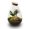 f4faf14ad545498f849a6c2d946e2e8d08e0e141ad164d6293637128a1f37a54.png Flaschengarten - Drop XL Rot