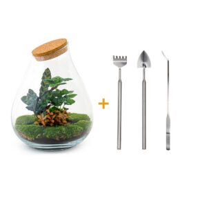 Flaschengarten - Drop XL Rot - Rake + Shovel + Tweezer