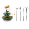 Flaschengarten - Drop XL Rot + Rake + Shovel + Tweezer + Scissors