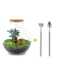Flaschengarten - Bolder Bob Bonsai - Rake + Shovel
