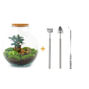 Flaschengarten - Bolder Bob Bonsai - Rake + Shovel + Tweezer