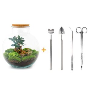 Flaschengarten - Bolder Bob Bonsai - Rake + Shovel + Tweezer + Scissors