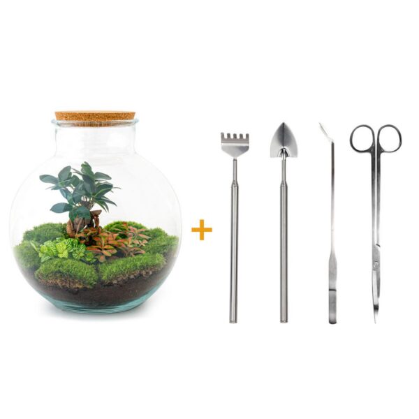 Flaschengarten - Bolder Bob Bonsai - Rake + Shovel + Tweezer + Scissors