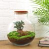 Flaschengarten - Bolder Bob Bonsai - Rake + Shovel + Tweezer + Scissors