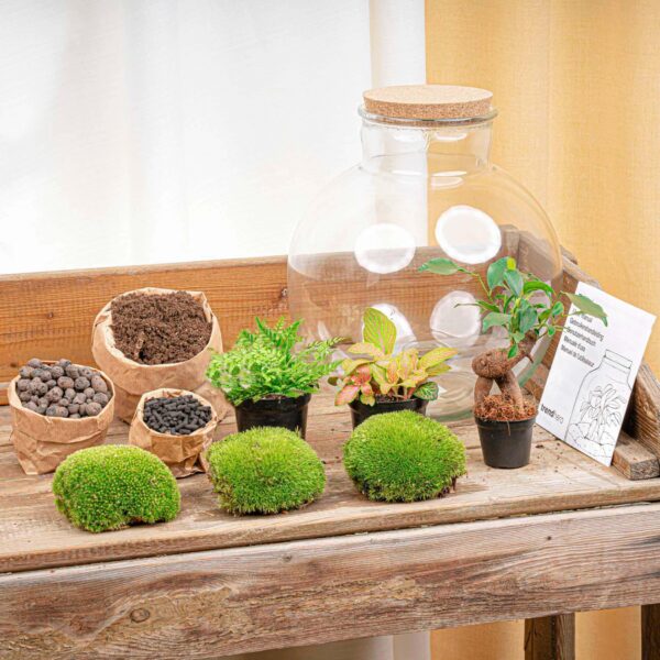 Flaschengarten - Bolder Bob Bonsai - Rake + Shovel + Tweezer + Scissors