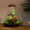 dc9134e7f1cc48418b3dd619bf22ab9eec6c1edba21b4b2c8b4f431885e07791.jpg Flaschengarten - Sam Calathea mit Lampe - Rake + Shovel + Tweezer