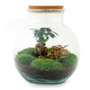 Flaschengarten - Teddy bonsai - Rake + Shovel