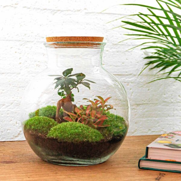 Flaschengarten - Teddy bonsai - Rake + Shovel