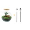 Flaschengarten - Teddy bonsai - Rake + Shovel