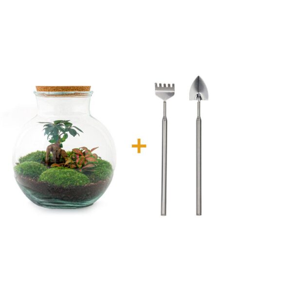 Flaschengarten - Teddy bonsai - Rake + Shovel