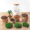 Flaschengarten - Teddy bonsai - Rake + Shovel