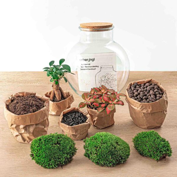 Flaschengarten - Teddy bonsai - Rake + Shovel