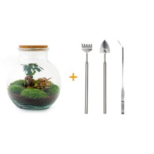 Flaschengarten - Teddy bonsai - Rake + Shovel + Tweezer